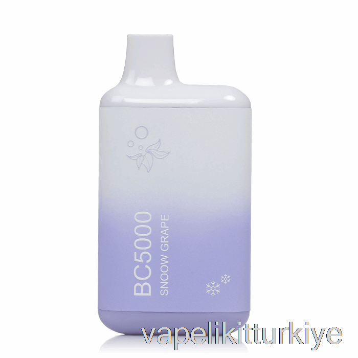 Vape Likit Bc5000 Tek Kullanımlık Kar üzümü